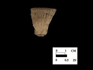 Cord-marked Monongahela rim sherd from the Sang Run site 18GA22-2.